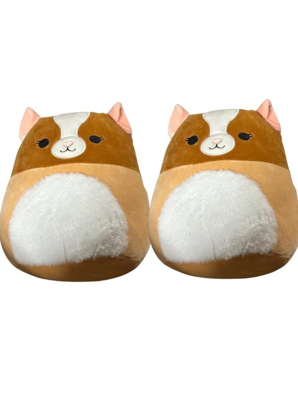 Squishmallows Garret Guinea Pig Plush 11 Inch Kellytoy Stuffed Animal New